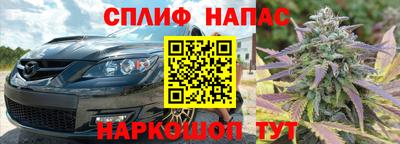 шишки Новокубанск